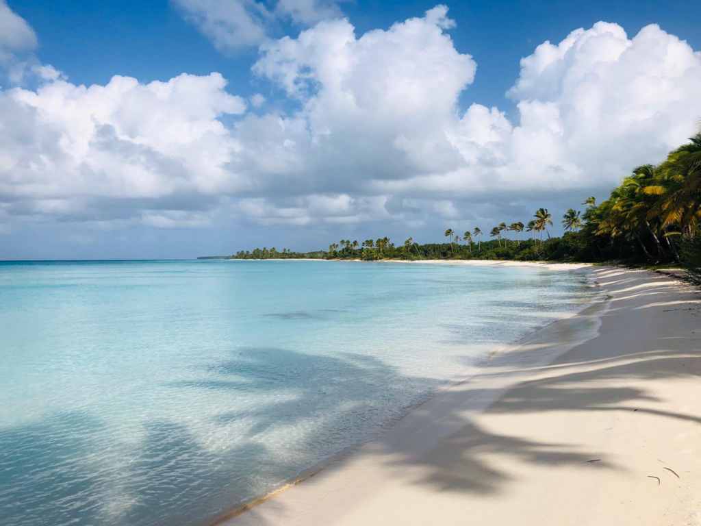 Flamingos Beach - Saona Beach House